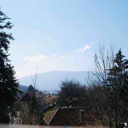 Maison 3 Chambres Au Lac D'Annecy, 30Min La Clusaz Menthon-Saint-Bernard Kültér fotó