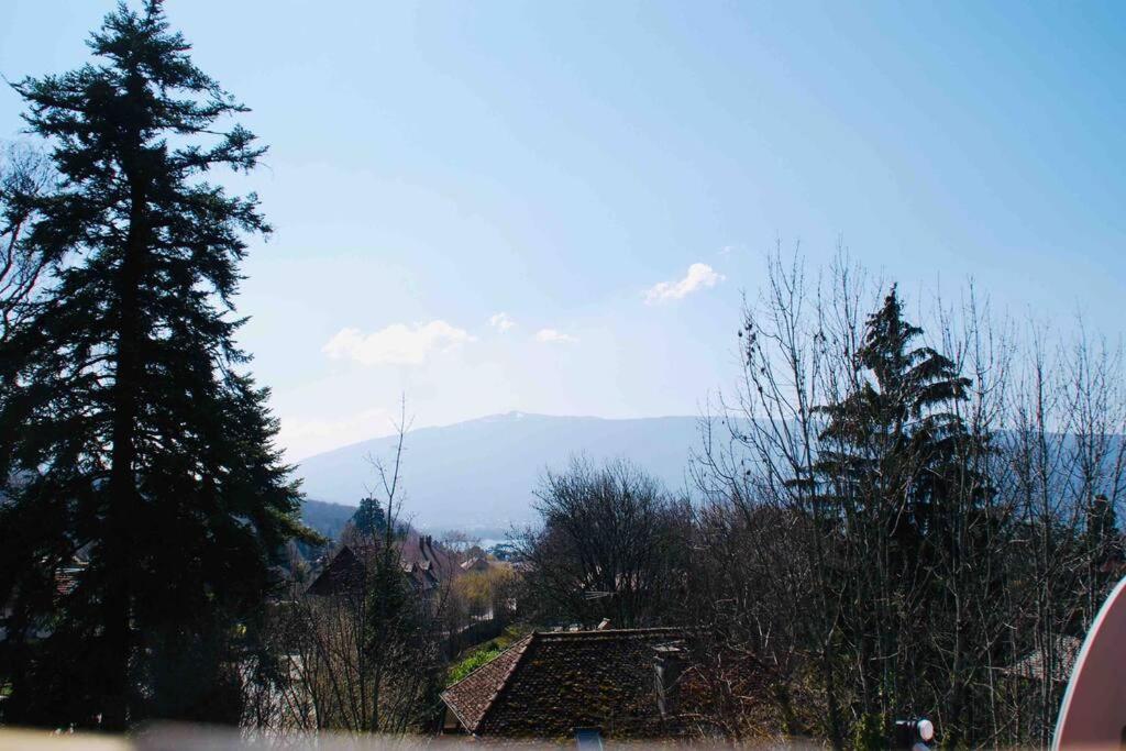 Maison 3 Chambres Au Lac D'Annecy, 30Min La Clusaz Menthon-Saint-Bernard Kültér fotó