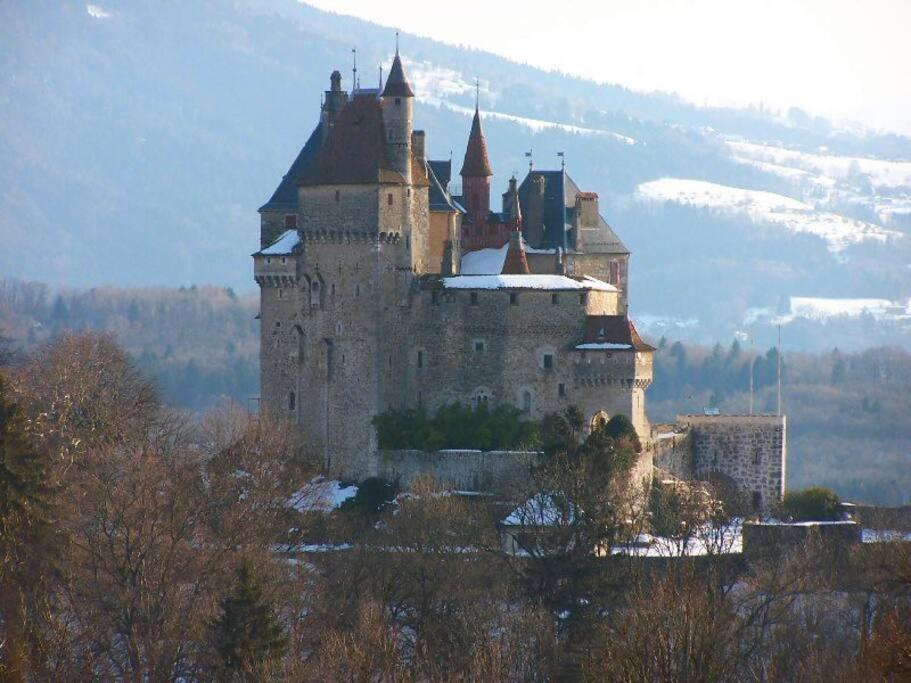 Maison 3 Chambres Au Lac D'Annecy, 30Min La Clusaz Menthon-Saint-Bernard Kültér fotó