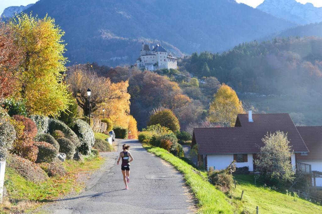 Maison 3 Chambres Au Lac D'Annecy, 30Min La Clusaz Menthon-Saint-Bernard Kültér fotó