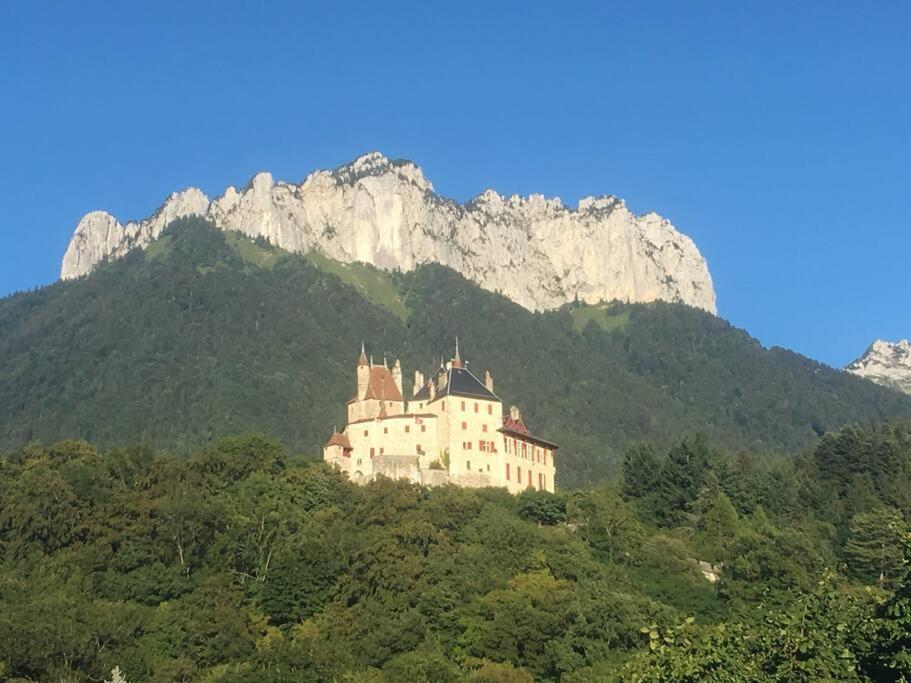 Maison 3 Chambres Au Lac D'Annecy, 30Min La Clusaz Menthon-Saint-Bernard Kültér fotó